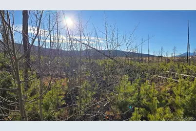 Lot 1505 Von Hyle Lane, Fort Garland, CO 81133 - Photo 11