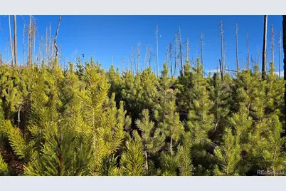 Lot 1505 Von Hyle Lane, Fort Garland, CO 81133 - Photo 9