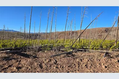 Lot 1505 Von Hyle Lane, Fort Garland, CO 81133 - Photo 17