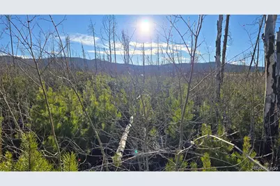 Lot 1505 Von Hyle Lane, Fort Garland, CO 81133 - Photo 13