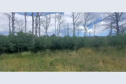 Lot 1720 Fitts Place, Fort Garland, CO 81133 - Photo 11