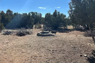 250 Mount Mestas Dr, Walsenburg, CO 81089 - Photo 3