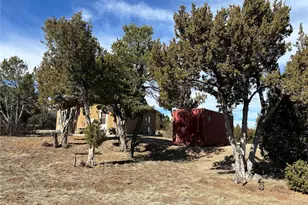 250 Mount Mestas Dr, Walsenburg, CO 81089 - Photo 19