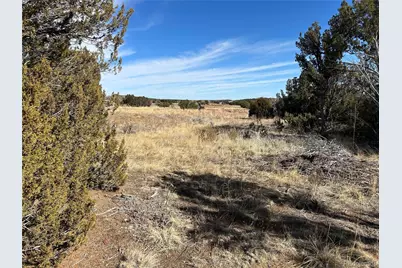 250 Mt Mestas Drive, Walsenburg, CO 81089 - Photo 21