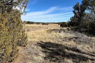 250 Mount Mestas Dr, Walsenburg, CO 81089 - Photo 21