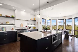 253 Stone Pointe Trail, Castle Rock, CO 80109 - Photo 15