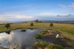 253 Stone Pointe Trail, Castle Rock, CO 80109 - Photo 35