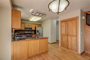 11176 Rodeo Cir, Parker, CO 80138 - Photo 13