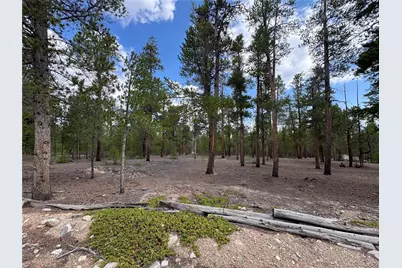 719 Peak View Drive, Twin Lakes, CO 81251 - Photo 1