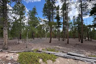 719 Peak View Dr, Twin Lakes, CO 81251 - Photo 1