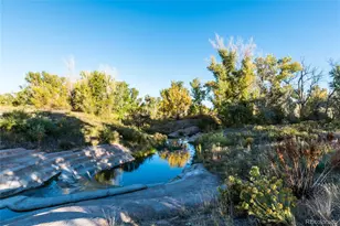 4883 Apollo Bay Dr, Highlands Ranch, CO 80130 - Photo 47