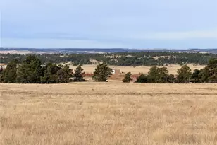 24063 Co Rd 122, Ramah, CO 80832 - Photo 43