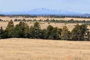 24063 Co Rd 122, Ramah, CO 80832 - Photo 3
