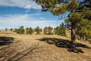 24063 Co Rd 122, Ramah, CO 80832 - Photo 45