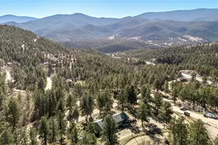 20 Parkview, Bailey, CO 80421 - Photo 47