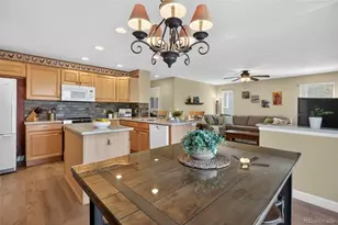 747 Sparrow Hawk Dr, Highlands Ranch, CO 80129 - Photo 9