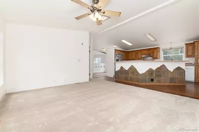 865 Silver Creek Road, Idaho Springs, CO 80452 - Photo 9