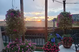 475 Hampstead Ave, Castle Rock, CO 80104 - Photo 35