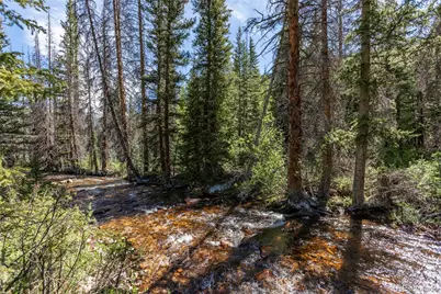 18990 Cr-294, Nathrop, CO 81236 - Photo 1