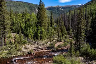 18990 Cr-294, Nathrop, CO 81236 - Photo 41