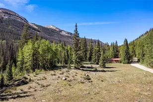 18990 Cr-294, Nathrop, CO 81236 - Photo 39