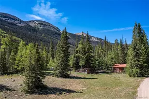 18990 Cr-294, Nathrop, CO 81236 - Photo 3
