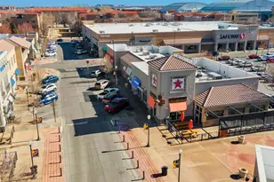 253 Oneida Ct, Denver, CO 80220 - Photo 43