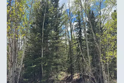 75 Ithaca Lane, Como, CO 80432 - Photo 5