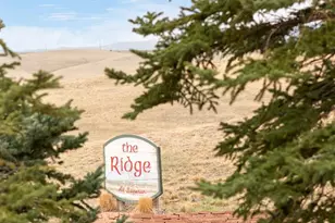 1737 High Plains Ct, Superior, CO 80027 - Photo 27