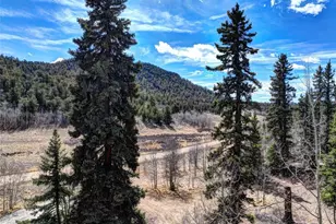 1479 Ouray Trail, Como, CO 80432 - Photo 43