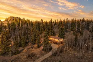1479 Ouray Trail, Como, CO 80432 - Photo 25