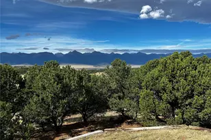 430 Cherokee Trail, Westcliffe, CO 81252 - Photo 7