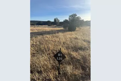 L23-26 B1 Black Diamond Drive, Walsenburg, CO 81089 - Photo 19