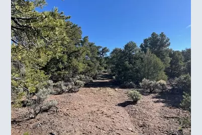 Lot 4 Elk Park Road, San Luis, CO 81152 - Photo 15