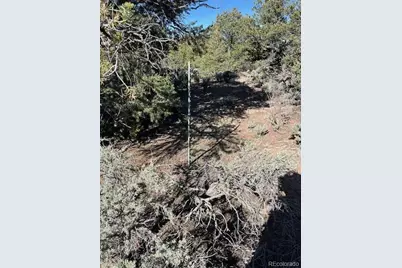 Lot 4 Elk Park Road, San Luis, CO 81152 - Photo 17