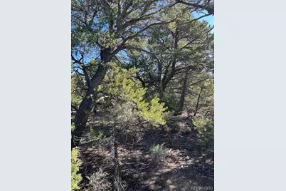 Lot 4 Elk Park Road, San Luis, CO 81152 - Photo 13