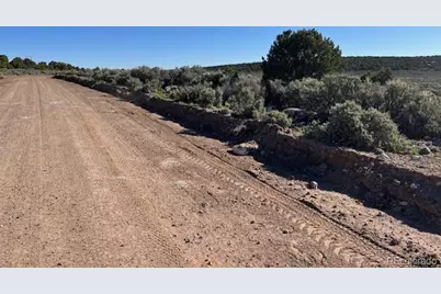 Lot 4 Elk Park Road, San Luis, CO 81152 - Photo 3