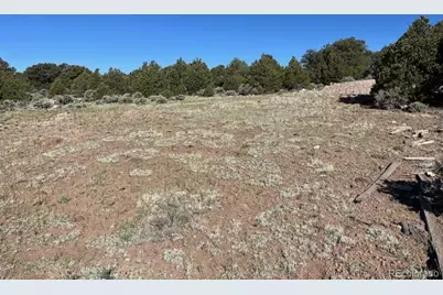Lot 4 Elk Park Road, San Luis, CO 81152 - Photo 7