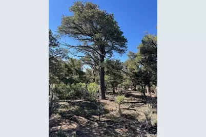 Lot 4 Elk Park Road, San Luis, CO 81152 - Photo 27