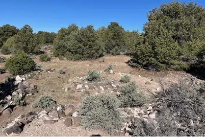 Lot 4 Elk Park Road, San Luis, CO 81152 - Photo 11