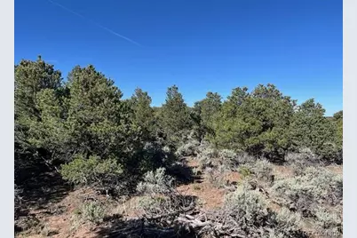 Lot 4 Elk Park Road, San Luis, CO 81152 - Photo 19
