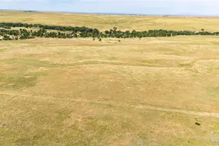 37615 Comanche Creek Rd, Kiowa, CO 80117 - Photo 43