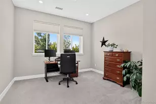 9195 Star Streak Cir, Littleton, CO 80125 - Photo 39