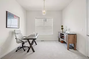 650 Simmental Loop, Castle Rock, CO 80104 - Photo 19