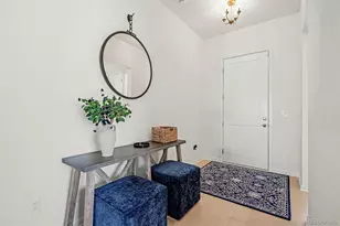 650 Simmental Loop, Castle Rock, CO 80104 - Photo 3