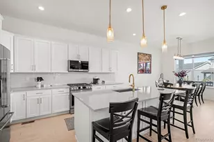 650 Simmental Loop, Castle Rock, CO 80104 - Photo 13