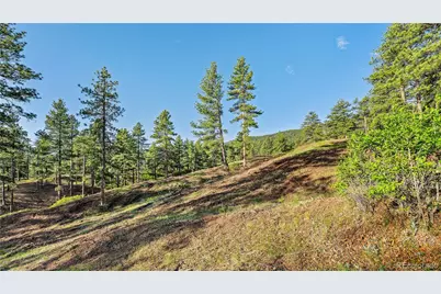 8125 Bannock Drive, Larkspur, CO 80118 - Photo 35