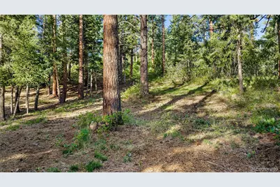 8125 Bannock Drive, Larkspur, CO 80118 - Photo 11