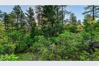 8125 Bannock Drive, Larkspur, CO 80118 - Photo 21