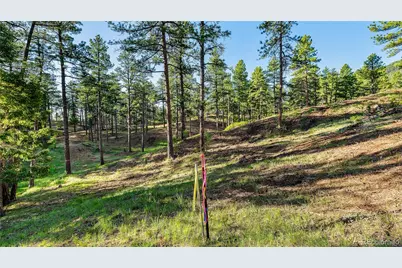 8125 Bannock Drive, Larkspur, CO 80118 - Photo 15